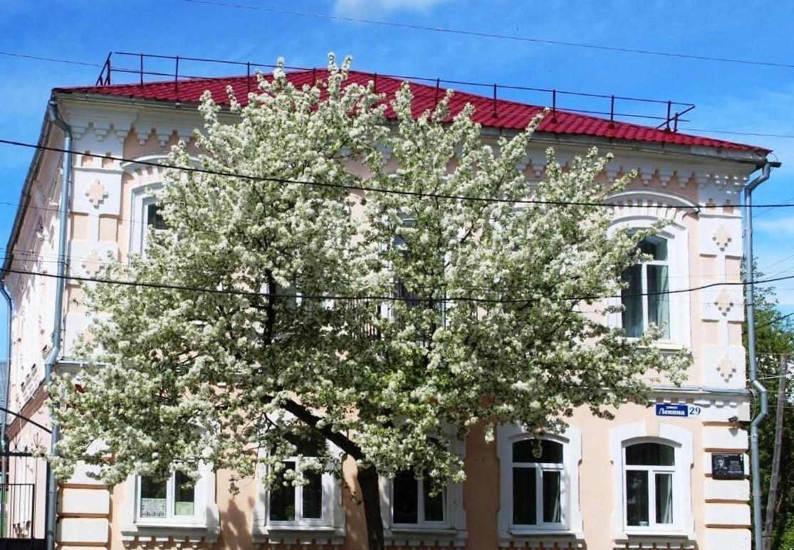 Бисертская поселковая библиотека