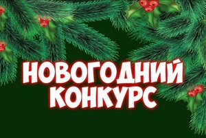 «Новогодняя феерия в нашем дворе»