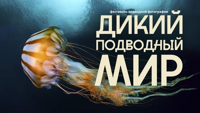 Фотовыставка «Дикий подводный мир»
