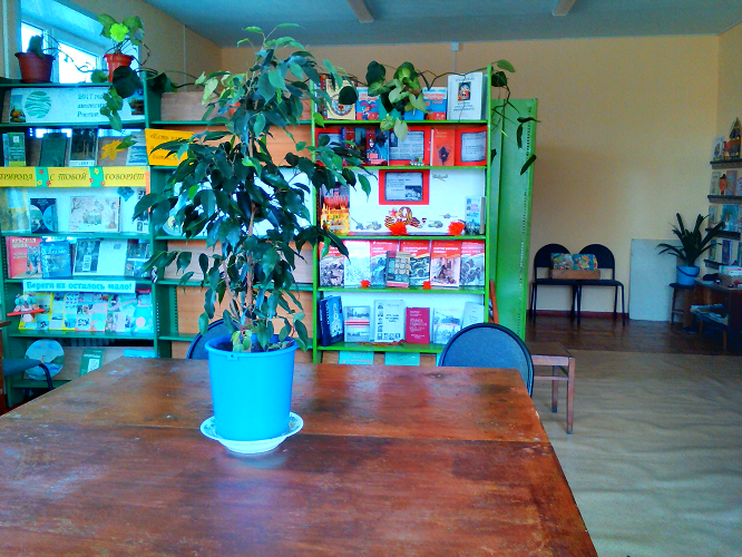 Копенкинская сельская библиотека