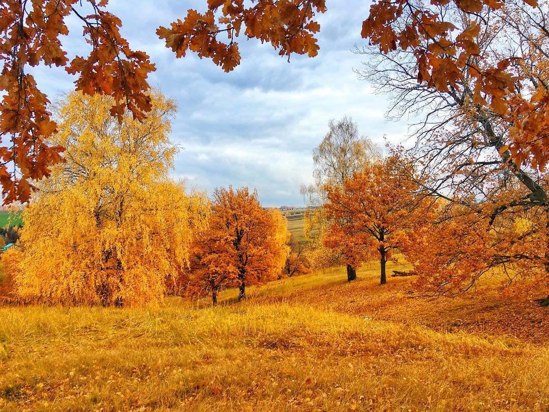 Фотовыставка«Моя семья и золотая осень»