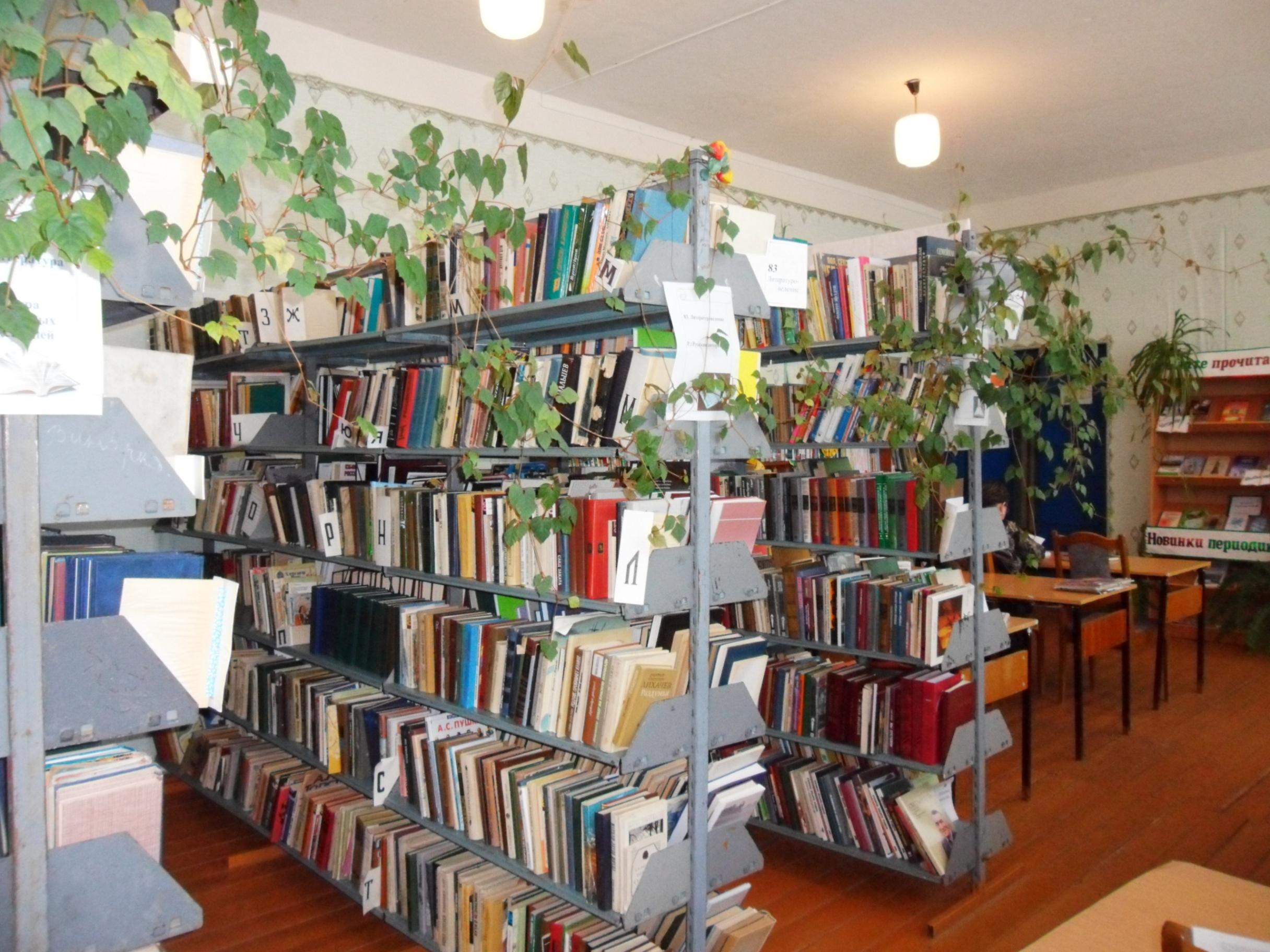 Познавательный час «С книгой по пути»