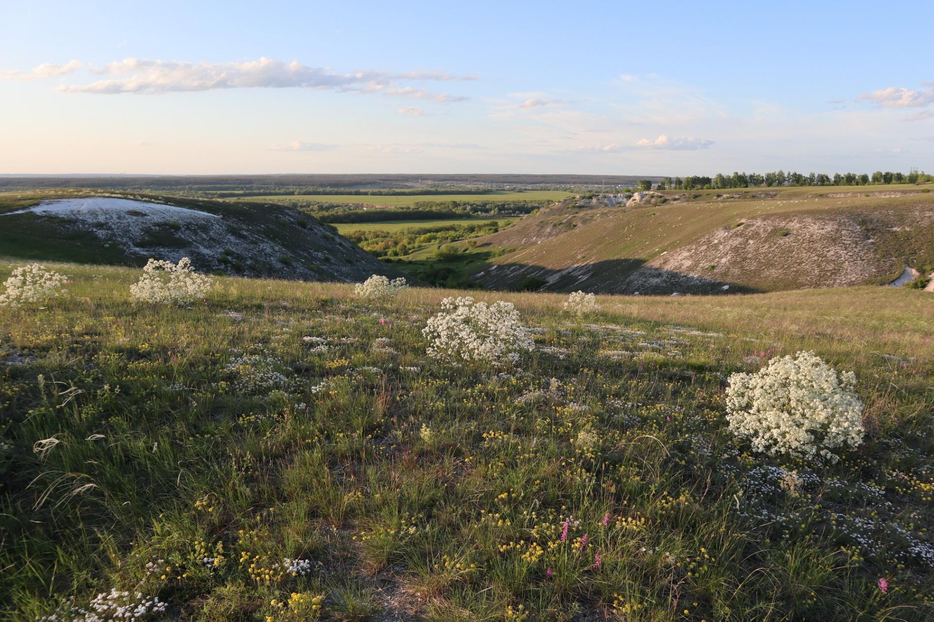 Виртуальная выставка «Катран татарский»
