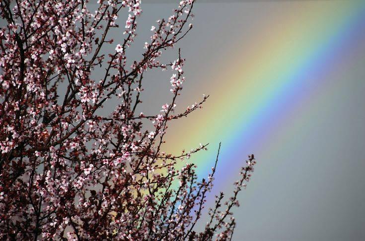 Развлекательная программа «Весенняя радуга»