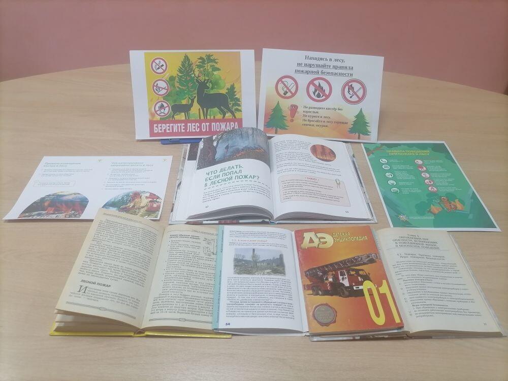 Книжная выставка «Осторожно, огонь!»