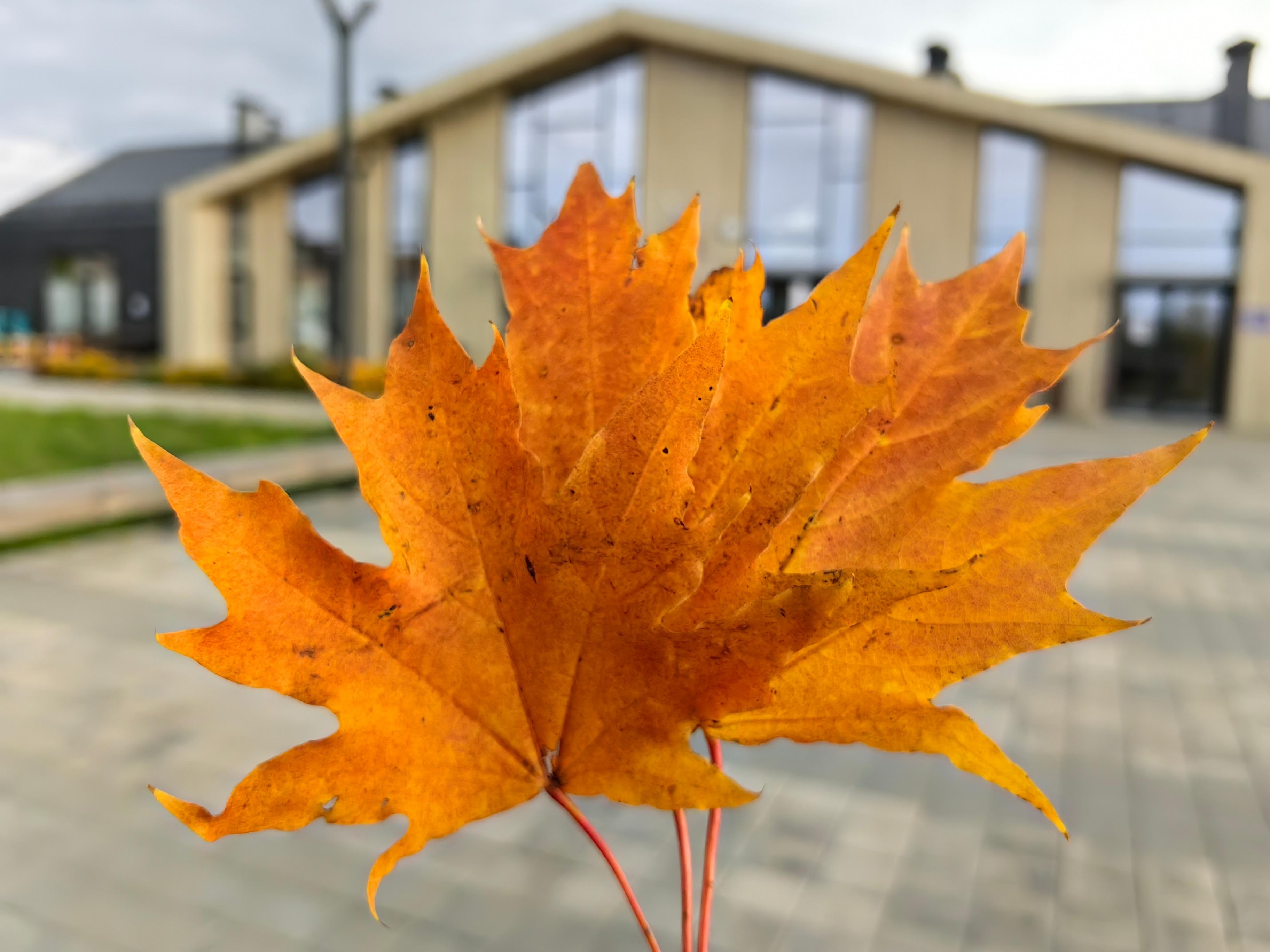 Акция «День доброты»