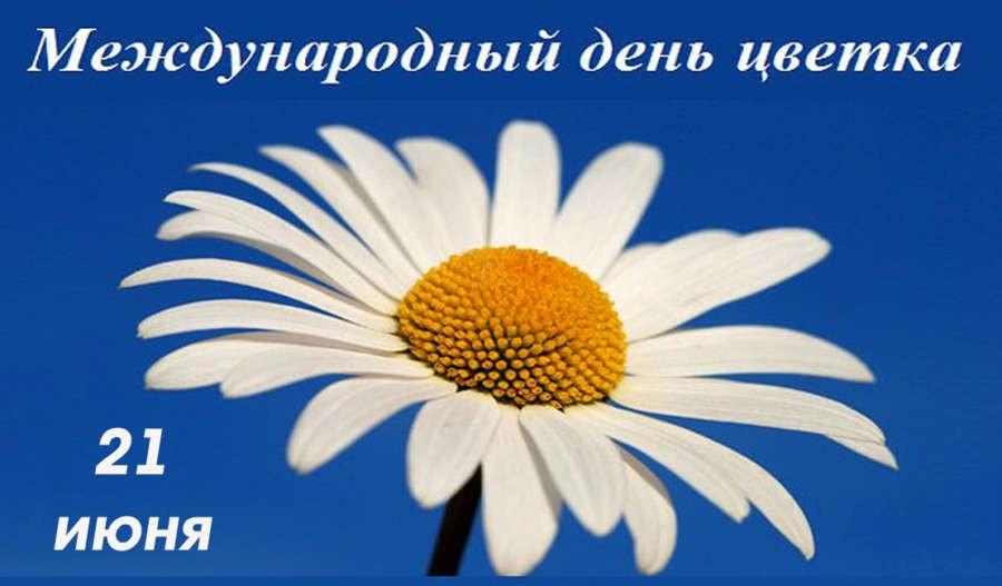 «Волшебный мир цветов»