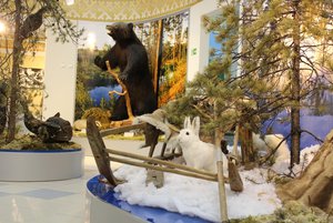 Музейный урок «Мир Югры»