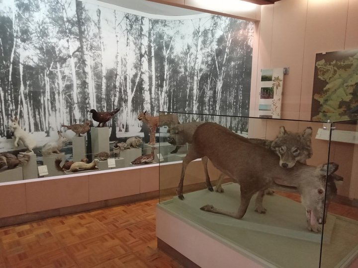 Выставка «Наследие выдающихся ученых в экспозиции отдела природы»