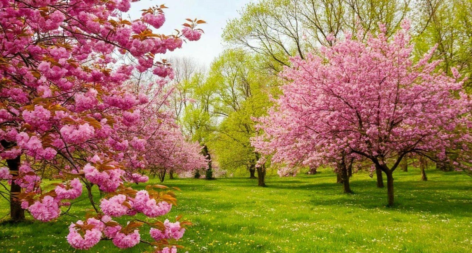 Познавательная викторина «Элегия весны»