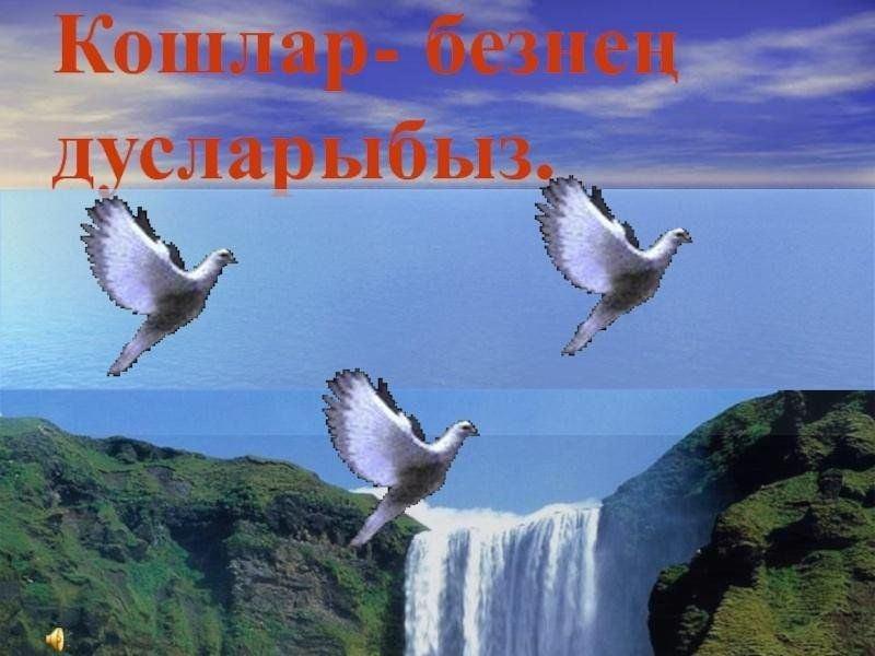 «Кошлар-безнең дусларыбыз»