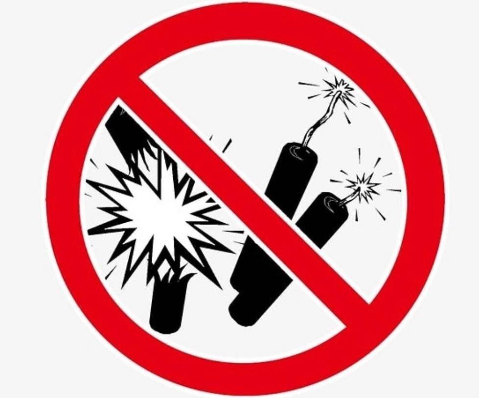 Информационный час «Безопасный Новый год»