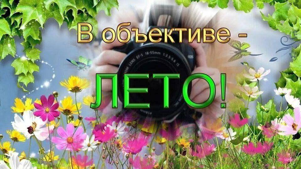 Экологическая прогулка«В объективе лето»