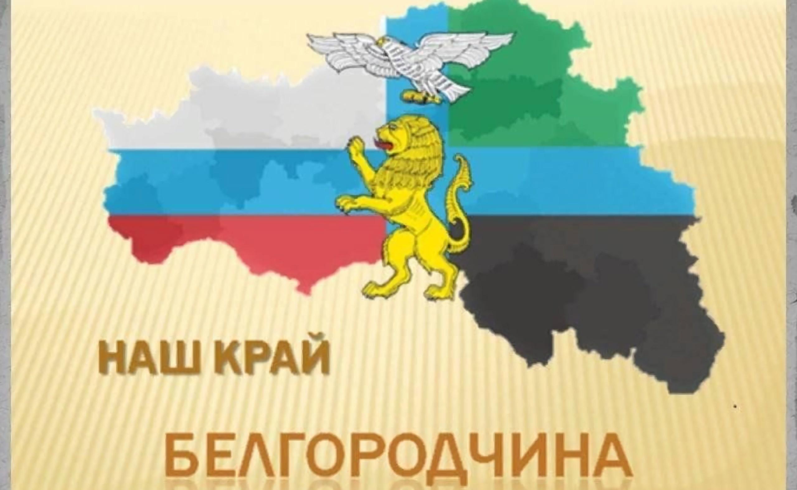 Выставка рисунков «Моя Белгородчина», посвященная дню образования Белгородской области.