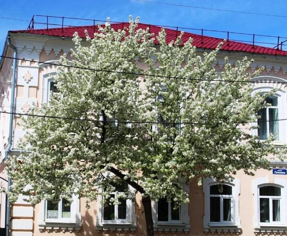 Познавательный час «Тайны народов России»