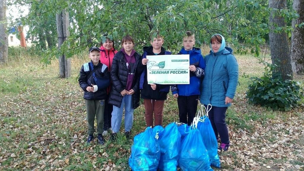 Экологический час «Зеленая красавица»