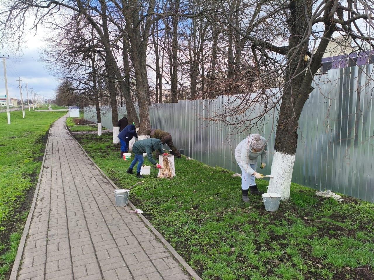 Волонтерская акция «Село – наш дом, мы в нем порядок наведем»