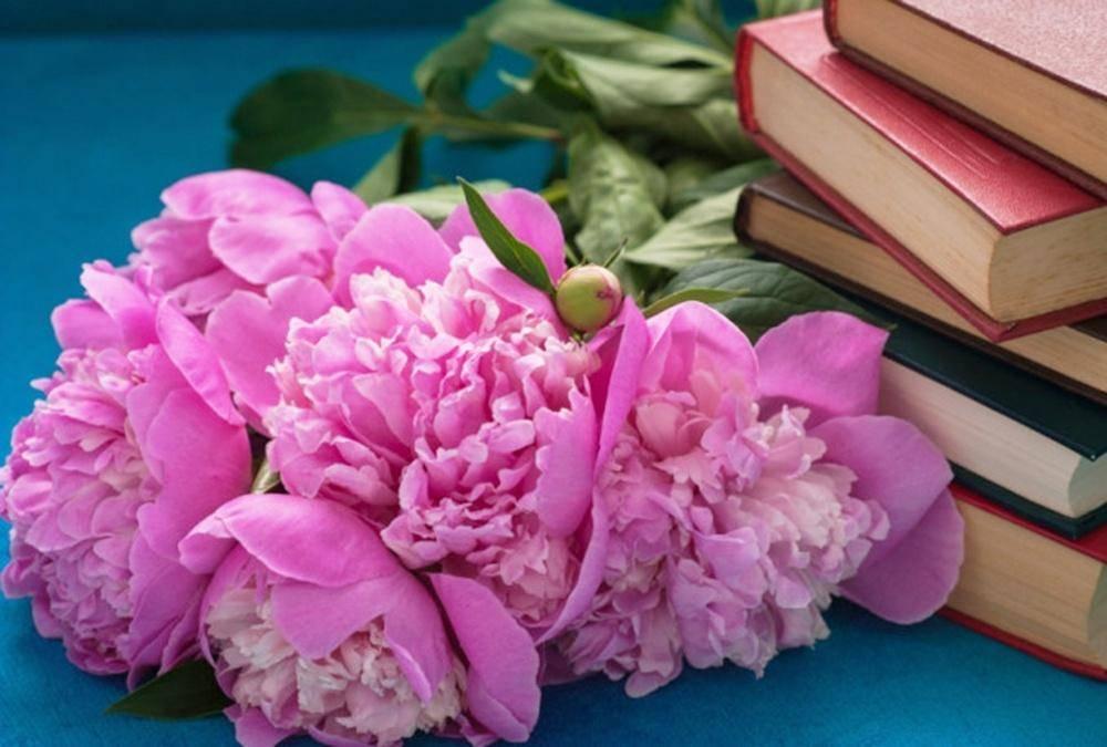 Игровое занятие «Путешествие в страну Книголюбия!»