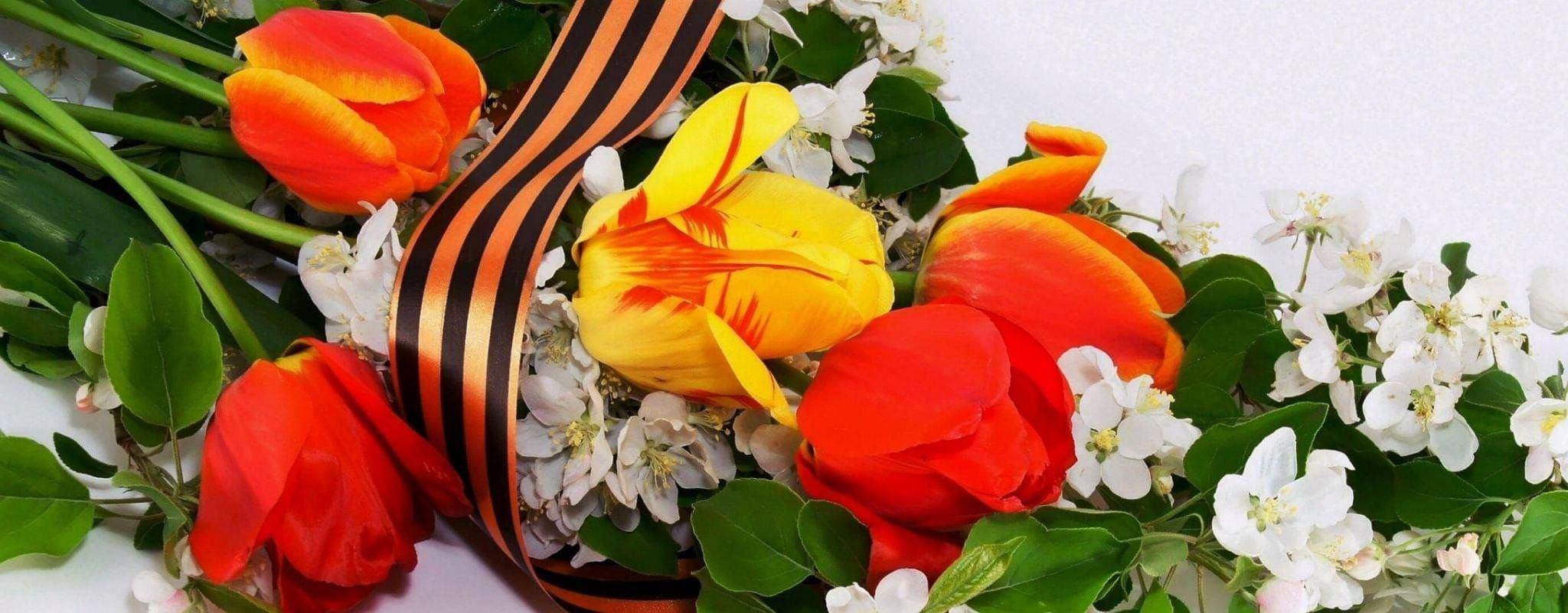 «Прочитанная книга о войне – мой подарок ветерану»