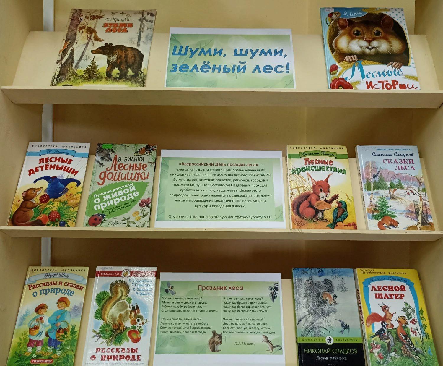выставка-просмотр«Шуми, шуми, зеленый лес!»