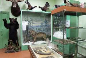 Выставка «Природа Чухломского края»