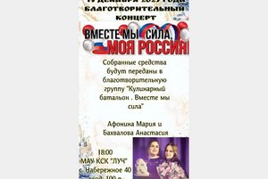 Благотворительный концерт «Вместе мы сила, моя Россия»