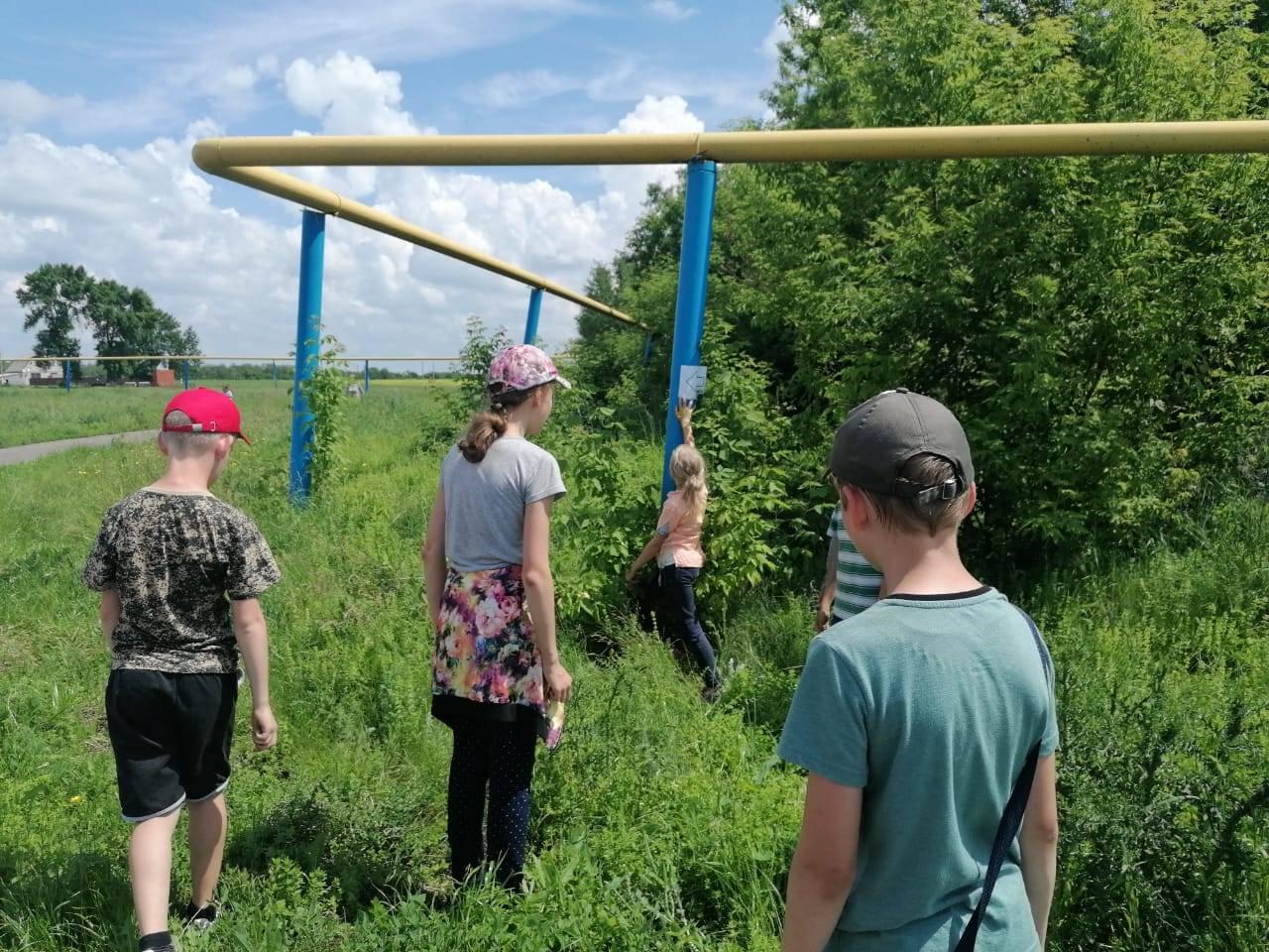 Квест «Поиск сокровищ»