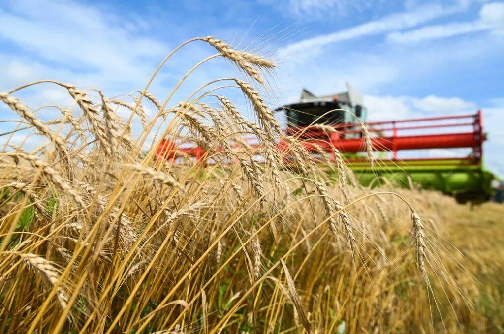 Выставка «На просторах Богучарщины!»