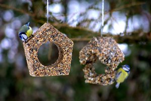 Мастер-класс по изготовлению экокормушки для зимующих птиц