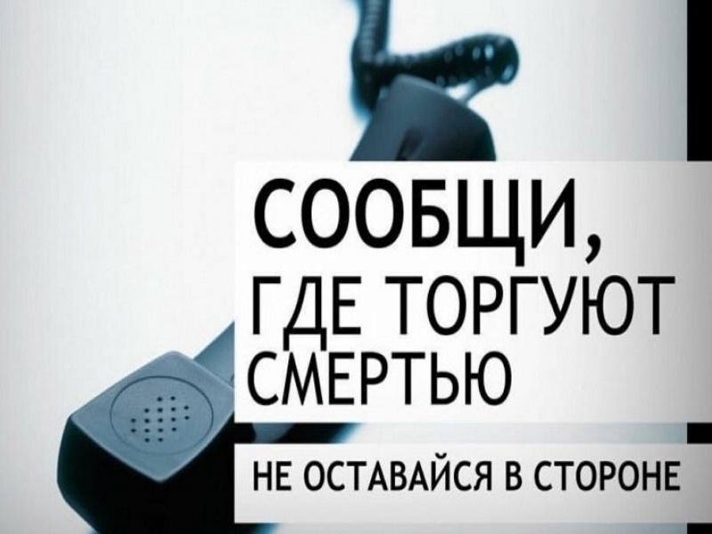 общероссийская антинаркотическая акция сообщи, где торгуют смертью