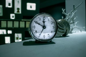 Выставка «Открытые морские залы. Тихоокеанское время»