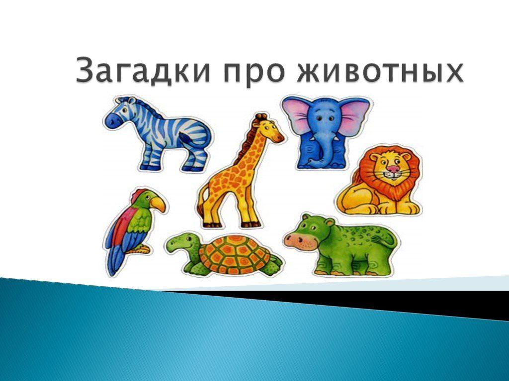 Игровая программа «Загадушки»