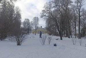 Интерактивное занятие «Семейное древо и герб»