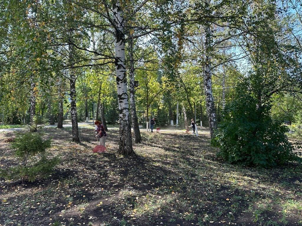 «Экологический десант»