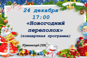 «Новогодний переполох»