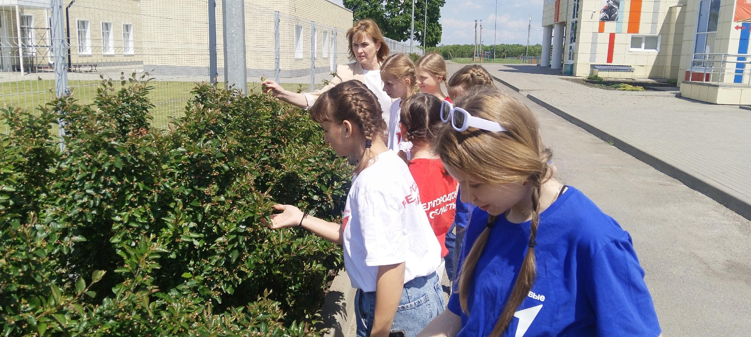 Познавательная программа «Я хочу дружить с природой»