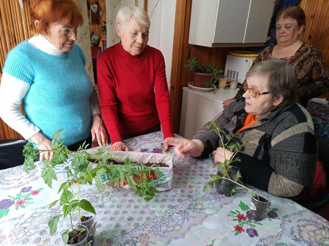 «Рассада»