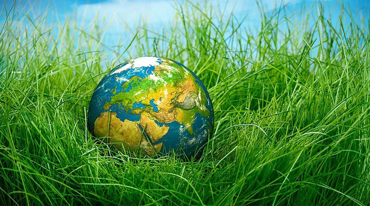 Акция «Час земли»