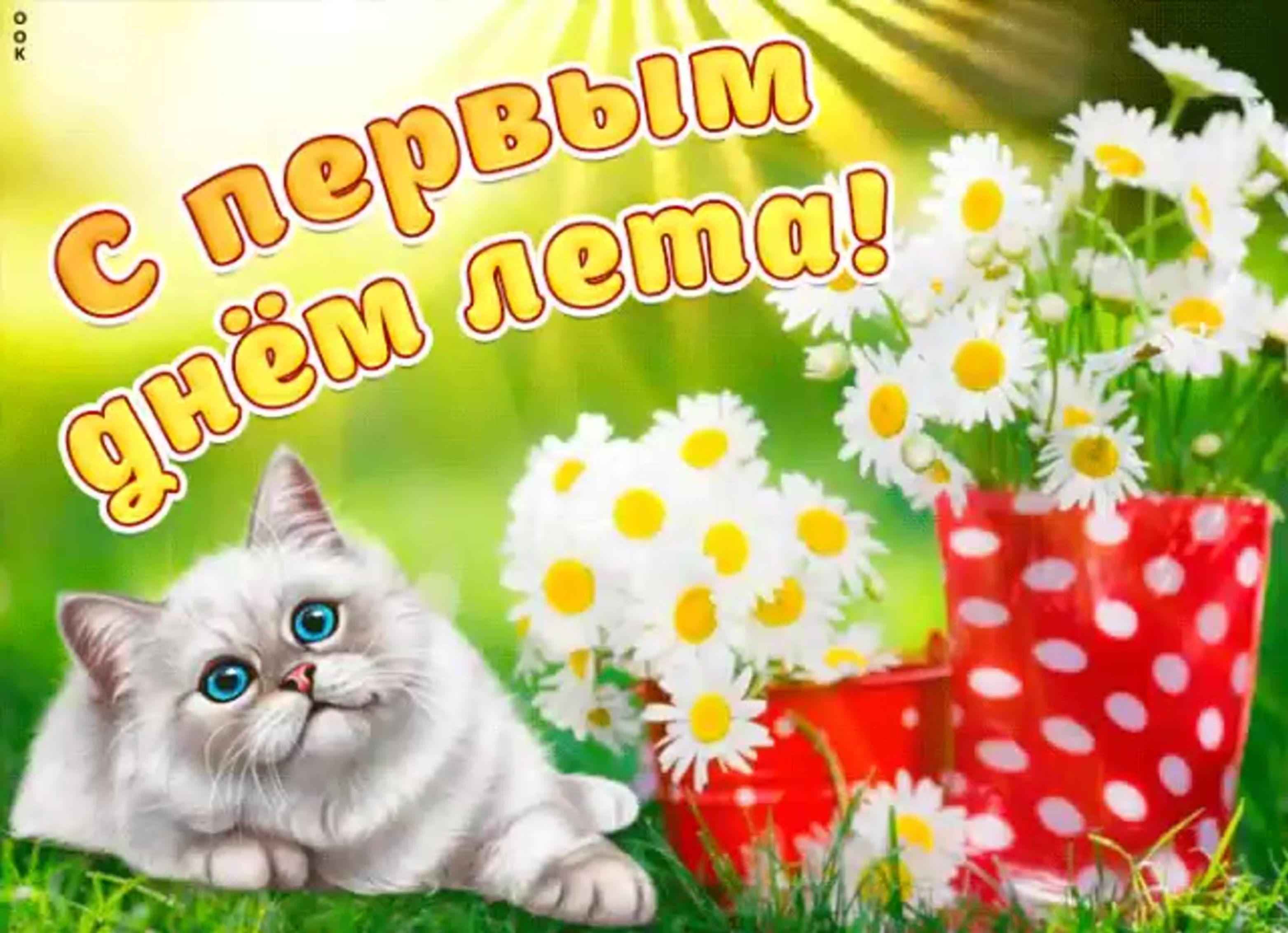 «С первым днем лета»