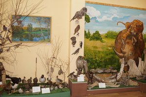 Экспозиция Колыванского краеведческого музея