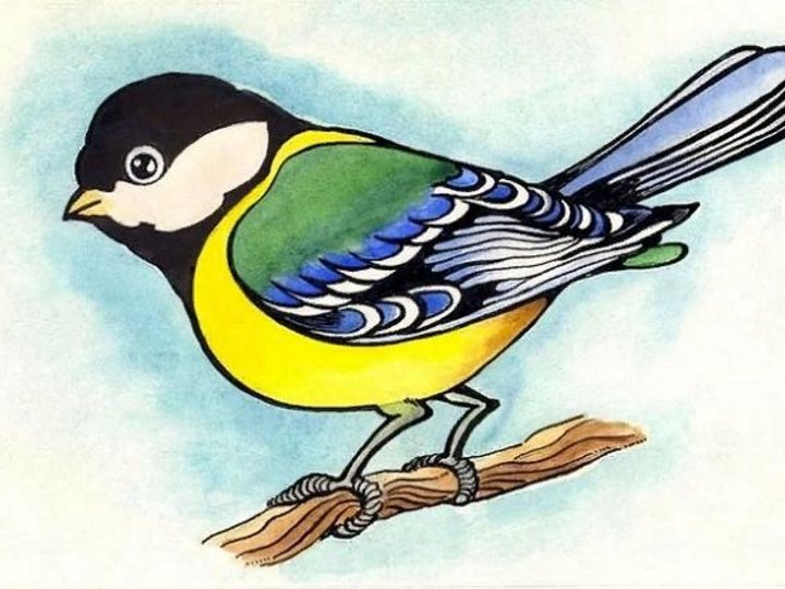 Рисунки синички для детей
