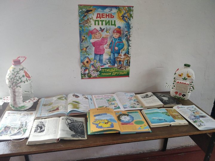 Экологическое просвещение в библиотеках Ахтынского района.