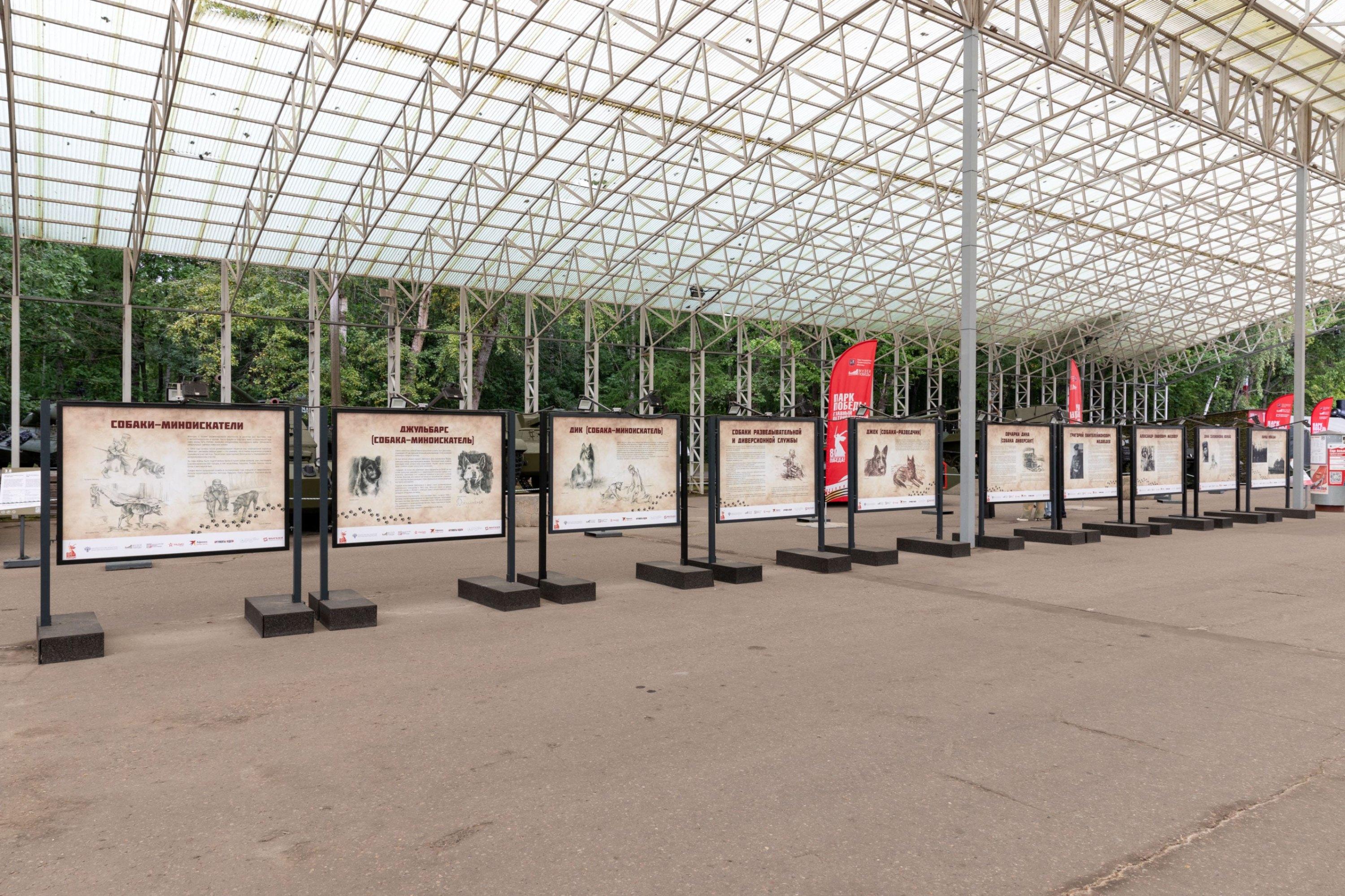 Выставка «Четвероногие герои»