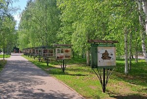 «Родина моя - Сибирь»