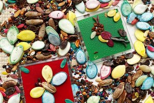 Мастер-класс «Композиция из семян»