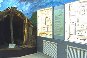 Выставка «Археологическое прошлое края»