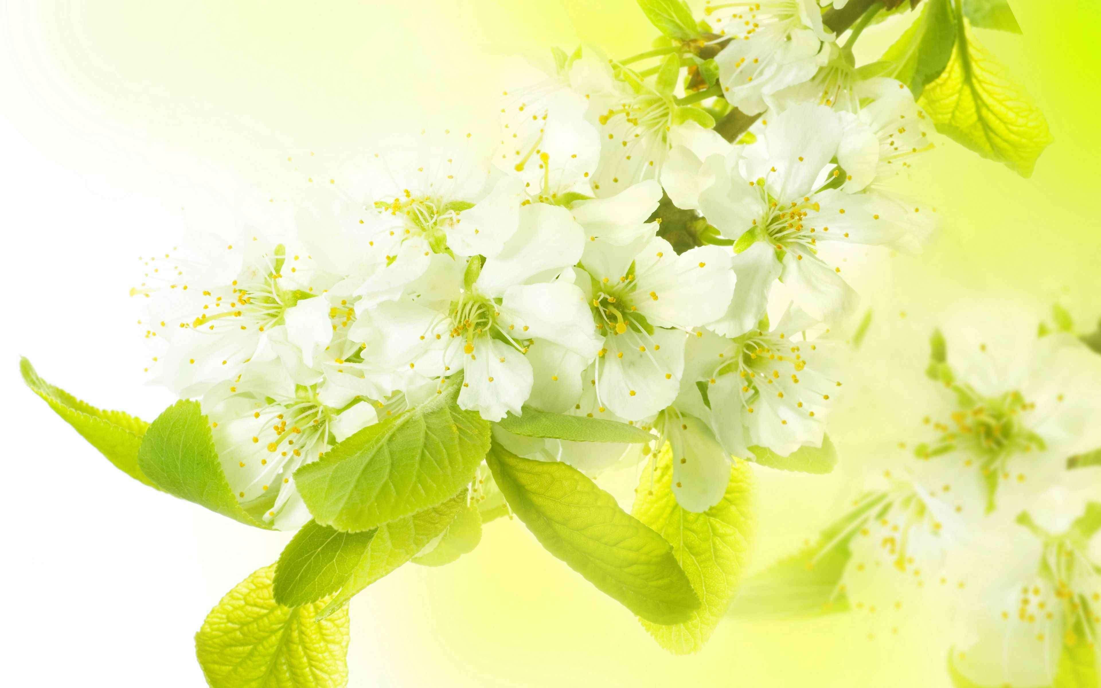 «Весенее настроение»