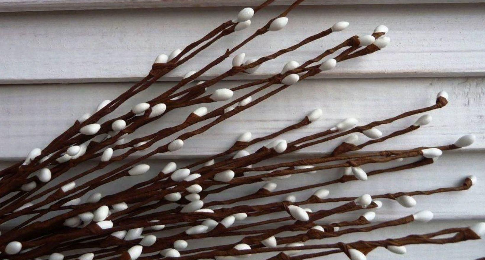 Мастер-класс по плетению из бумажной лозы «Верба»