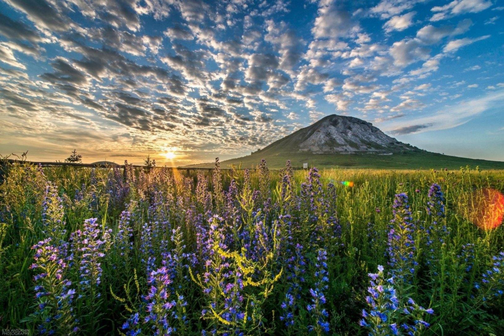 Информационно-познавательная программа «Культурная палитра родного края»