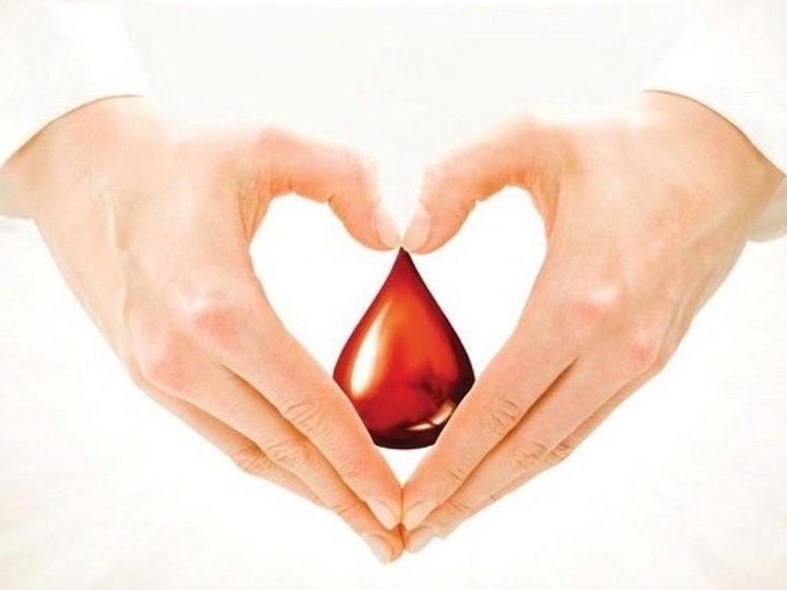 Встреча «Капля крови-дарит жизнь»